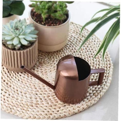 Arrosoir - Acier Inoxydable - Pour Plantes D Intérieur Et Bonsaïs - 300 Ml - Bronze (1/4)