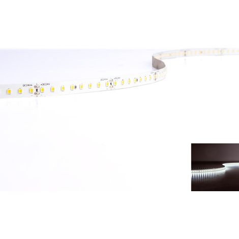 Strip 24V LED Streifen 5M 12W/m 128LED/m 10mm IP20 - Lichtfarbe: Kaltweiß 6500K