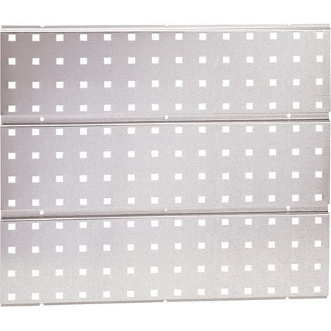 Placa perforada para ganchos para herramientas para todos los ganchos para herramientas Raaco Panel de pared para herramientas (Por 6)