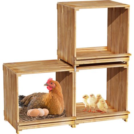 Bingopaw - Ponredor para Gallinas de 3 Compartimentos en Madera de Pino Carbonizada - Nido Ponedero Anticaída de Huevos para Gallinero 105 x 30 x 36 cm (1/5)