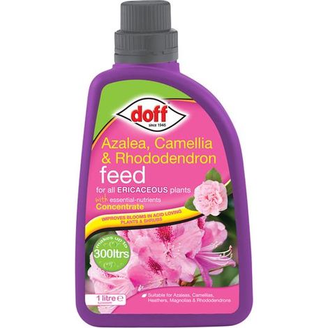 DOFF F-JZ-A00-DOF Azalia Camellia Rhododendron Flower Feed Concentrate 1 Litre
