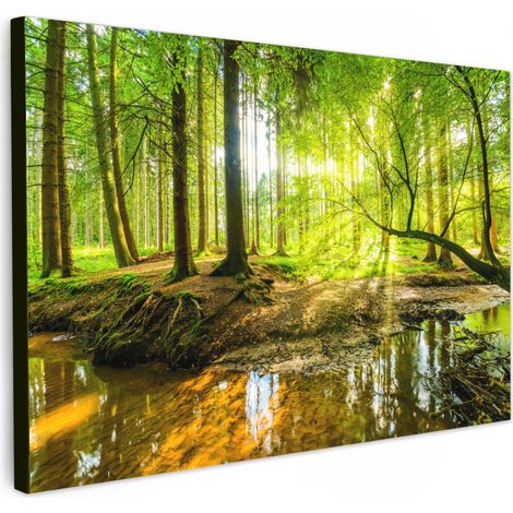TABLEAU SUR TOILE Forêt - Paysage - Eau - Arbres - Soleil - Vert - Nature Toile Peinture Grand Format XXL 150x100 cm