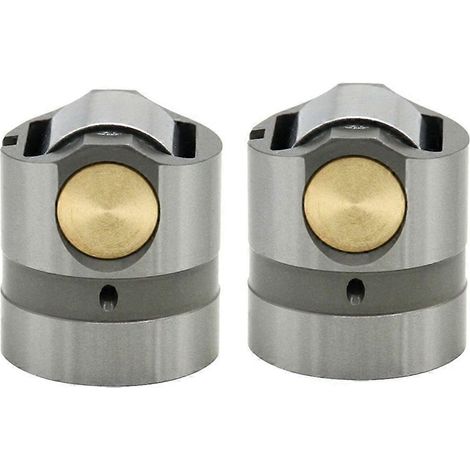 Lot de 2 poussoirs de pompe à injection Common Rail pour moteur automobile, référence 4921732, compatible avec les pompes à injection Cummins CP2 et PC300-8 (référence 3973228 et 4921732 CCR1600). (1/5)
