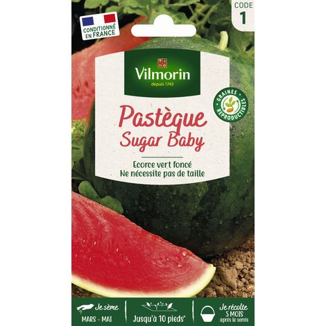 Vilmorin – Pastèque Sugar Baby – Graines de potager – Exposition ensoleillée – Semis de mars à mai – Récolte de juillet à septembre