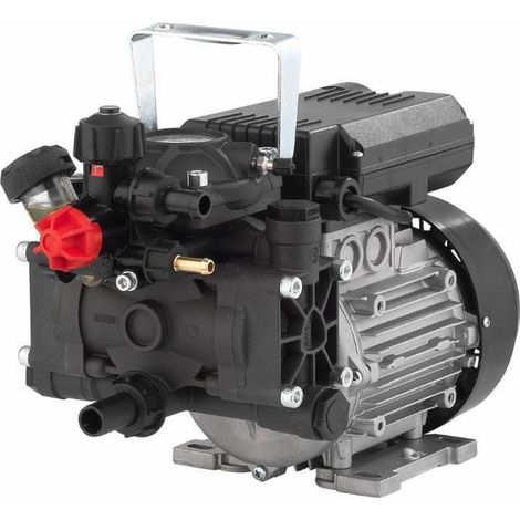 Pumpe AR 202 EM mit Elektromotor für das Spritzen 88946