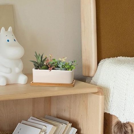 Maceta de cerámica para suculentas de 17 cm con platillo de bambú blanco，juego de 2，maceta para cactus，regalo para cumpleaños y bodas (1/4)