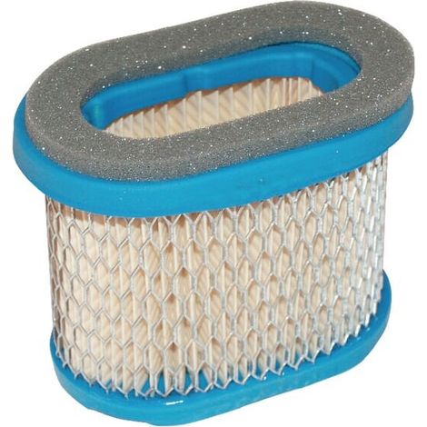 Filtro aria Briggs e Stratton 697029