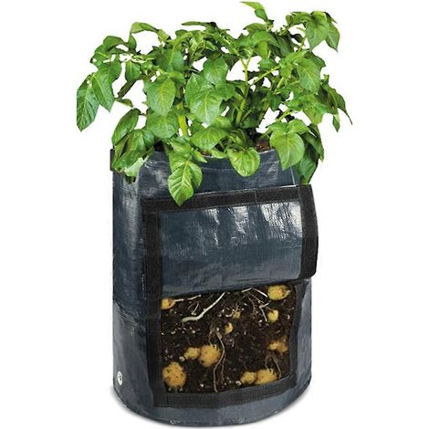 Lot de 5 sacs de culture de 10 gallons (38 litres) résistants pour la culture de plantes et de pommes de terre (portables). (1/4)