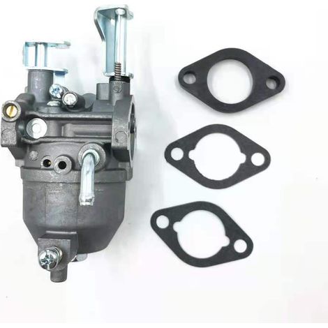 Carburador Briggs & Stratton 715473 138432 138437 138462 (1/5)