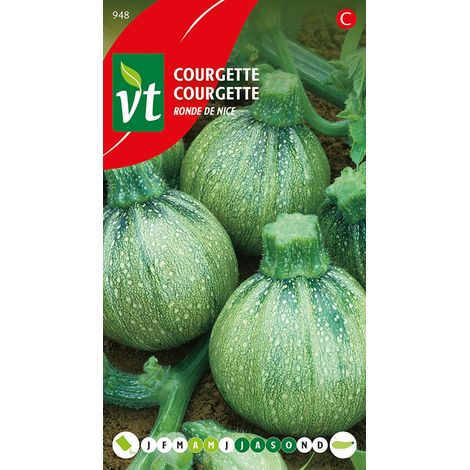 Courgette Ronde De Nice - Ca. 1,5 gr (Livraison Gratuite)