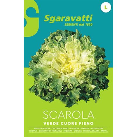 Semi per Ortaggi e Vegetali Scarola Sgaravatti Verde Cuore Pieno 20 Pezzi (1/2)