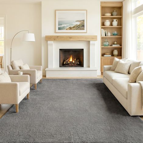 Tapis de salon 120x160 cm gris à cheveux longs lavable à la machine pour chambre clair
