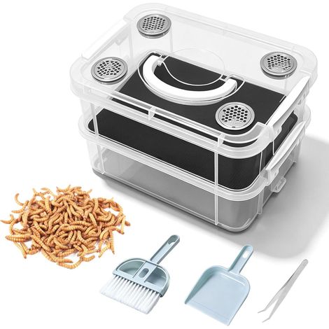 Kit d'élevage de vers de farine, boîte d'élevage transparente pour vers de farine, kit d'élevage en maille à 2 couches, boîte d'élevage pour vers de farine vivants pour poules, lézards et