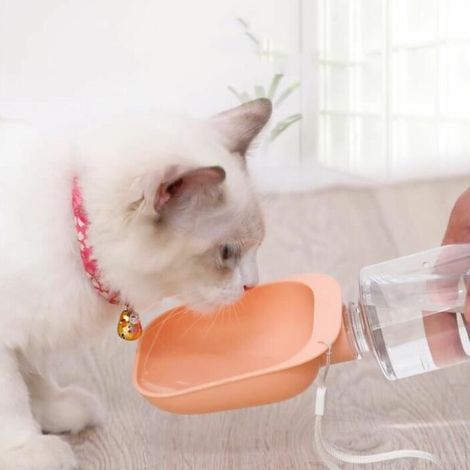 4 couleurs Portable Travel Dog Water Bottle Pet Cat Feeder Water BowlPour les animaux de compagnie (1/2)