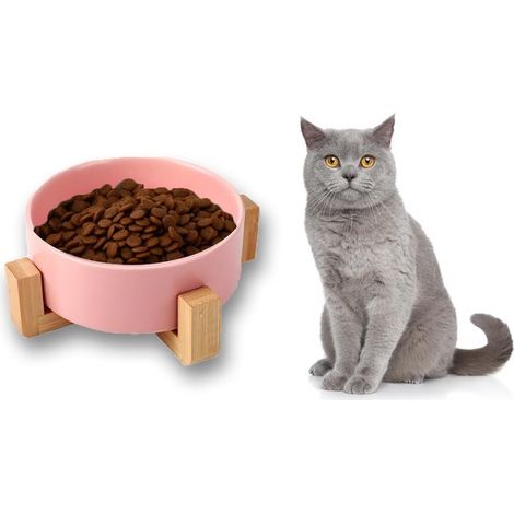 Lettiera rialzata in ceramica con supporto per cani di piccola taglia, completa di ciotole per cibo e acqua. Antiscivolo e a prova di perdite. (1/5)