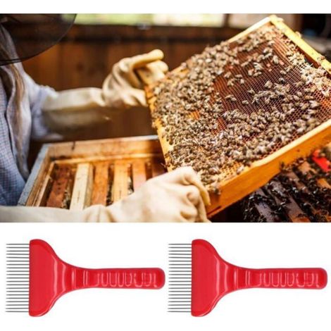 Fourchette à désoperculer pour l'apiculture, 21 Dents en Acier Inoxydable, Outil pour l'apiculture, extracteur de Miel en Rayon (1/5)