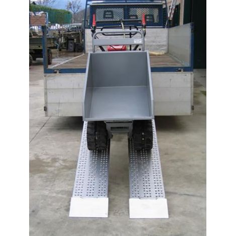 Lunghezza di rampa 2.50m - Altezza raggiungibile 750mm - Portata max per un paio 1678kg per interasse 1000mm - Prezzo unitario - M040B2/25/2U