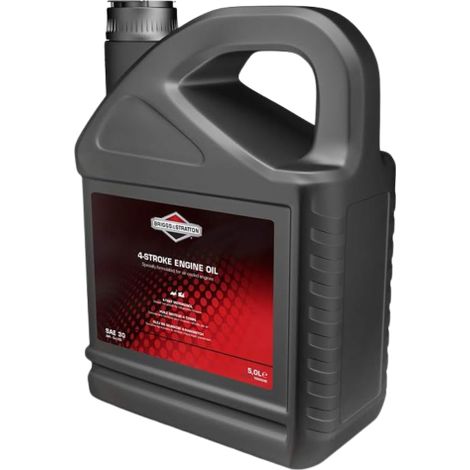 OLIO MOTORE 4 TEMPI BRIGGS & STRATTON 5L