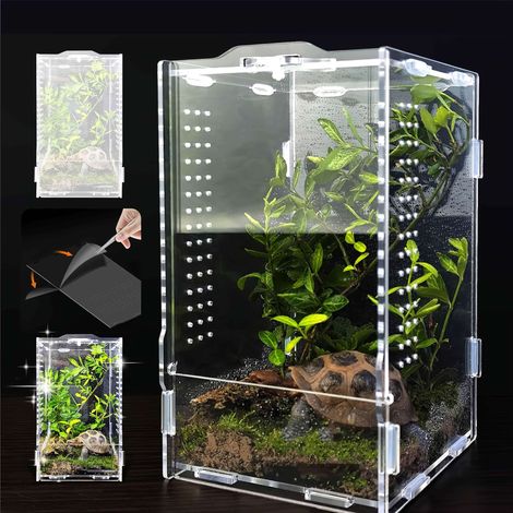 Boîte d'alimentation pour insectes, acrylique transparent, terrarium pour reptiles, 12 x 12 x 20 cm, pour lézards, araignées, scorpions, mille-pattes, grenouilles, coléoptères (1/5)
