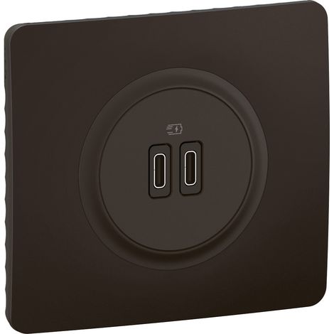 Legrand – Prise de courant 2 USB Type-C 20W Power Delivery – Enjoliveur noir – Installation facile en multiposte – Compatible tous appareils (1/3)