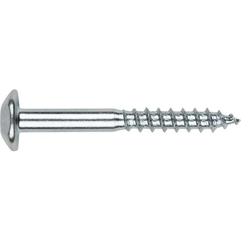 Vis Penture Inviolable 2 pièces TORX T40 6X50 Acier zingué-100 pièces (1/4)
