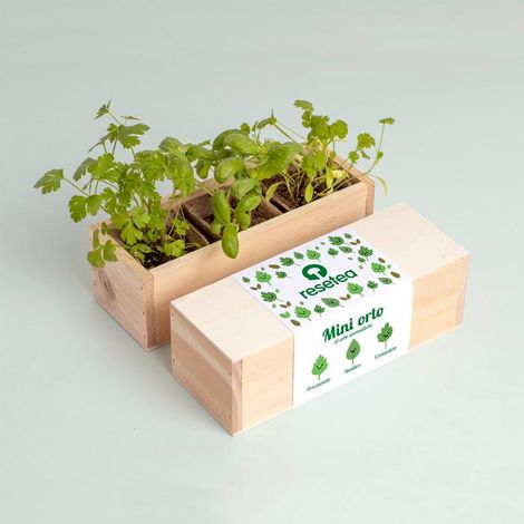 RESETEA, MINI ORTO - ERBE AROMATICHE, CASA, IDEE REGALO (1/3)
