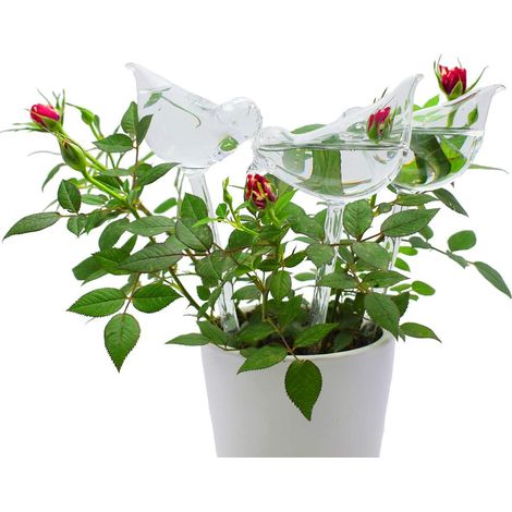 Lot de 3 globes d'arrosage en verre avec pointes d'auto-arrosage en forme d'oiseau pour plantes, intérieur et extérieur (1/5)