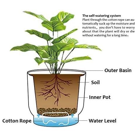 Bac d'arrosage automatique avec niveau d'eau visible, vase à aloès, succulentes, plante décorative pour la maison - blanc, 1pc (1/2)