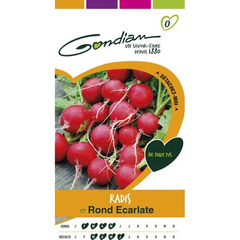Gondian - Radis rond Ecarlate