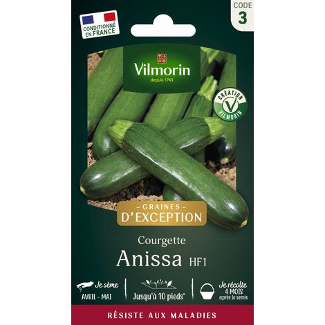 Courgette Anissa HF1 - Graines d'Exception Vilmorin (1/2)