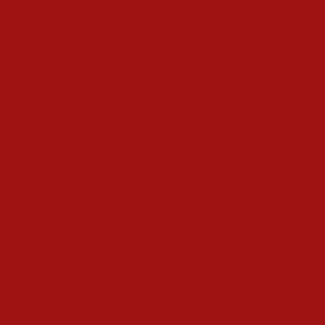 Carrelage mural faïence COLORS WALL 20x20 cm Rouge - Mat - boîte de 0.92 m2