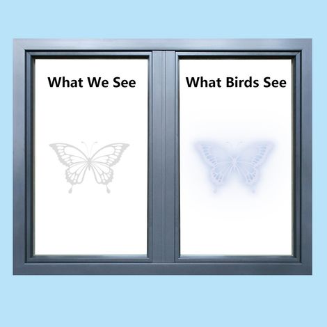 Autocollants de fenêtre Anti-Collision, 4 feuilles, thème papillon, verre PVC amovible pour les frappes d'oiseaux, DIY bricolage (1/5)