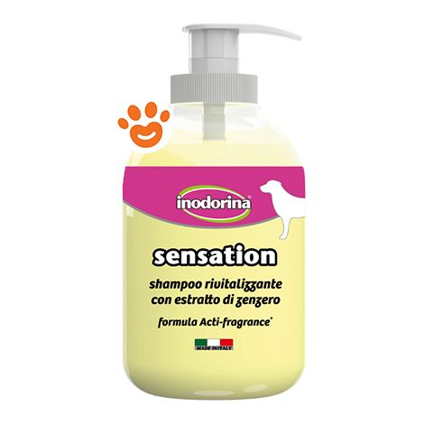 Shampoo toodorine rivitalizza 300 ml di estratto di jenjibre