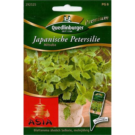 Quedlinburger Japanische Petersilie Mitsuba - Kräutersamen (1/2)