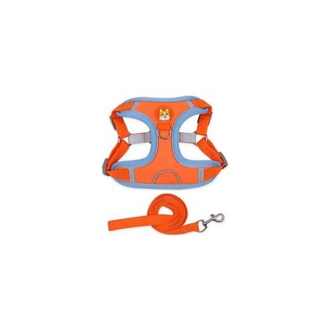Harnais de poitrine en daim pour chien et chat, laisse corde réfléchissante respirante, orange, XL –