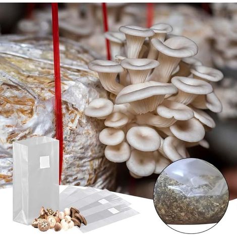 Sacs de Culture de Champignons, 20 Pièces Sacs de Culture Mushroom Spawn Microporeux et Respirant Grande Sac de Culture pour Champignons pour Champignons, Grains 32x50 cm (1/5)