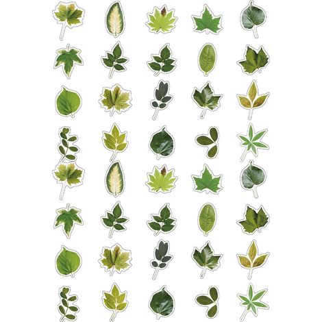 40 autocollants feuilles PET thème végétal, stickers matériau plante pour DIY carnet, branche verte (1/5)