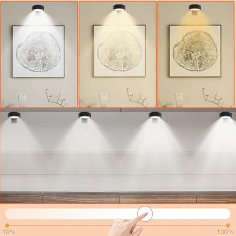 Lot de 4 lampes d'image, à batterie avec télécommande, lampe de peinture, rechargeable avec 3 températures de couleur, intensité variable, affichage artistique, éclairage de vitrine, éclairage (1/3)