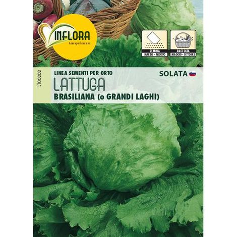 SEMI ORTO """LATTUGA BRASILIANA""" - CF. BUSTA 5 GR.