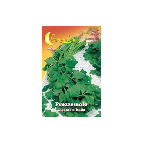 Hortus Buona Luna 15 gr semi di prezzemolo gigante seminare orto (1/2)