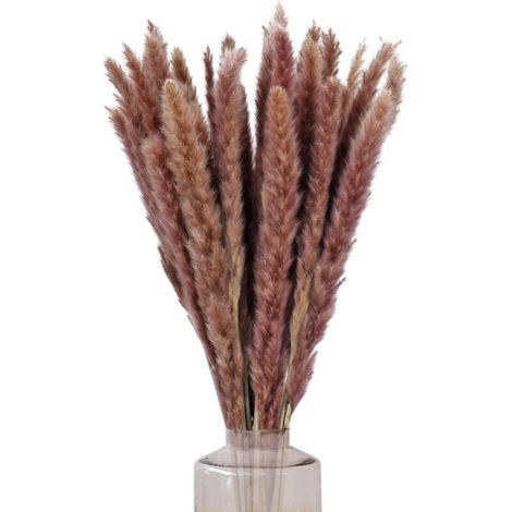 Ramo de 30 piezas de hierba de pampa seca de 60 cm para decoración, flores secas naturales, plantas artificiales de pampas marrones para bodas, interiores, jarrones, hogar, cocina y balcón.