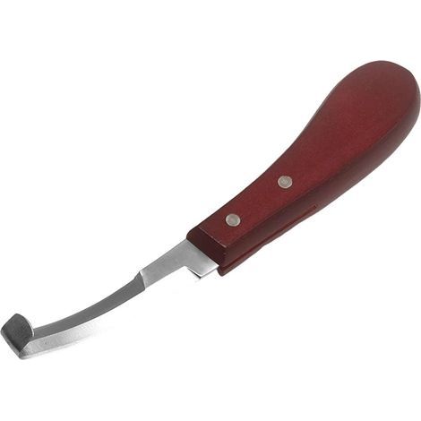Couteau à Sabot Professionnel, Couteau à Sabot de Cheval, Couteau à Sabot de Bovin, Outil de Coupe de Couteau de Sabot, Couteau à Sabot en Acier Inoxydable, Outil de Coupe de Sabot pou (1/5)