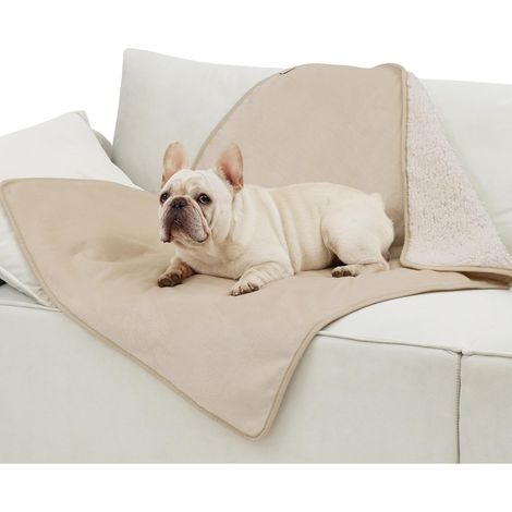 Couverture Chien Plaid Imperméable Réversible, 100x80cm Crème (1/5)