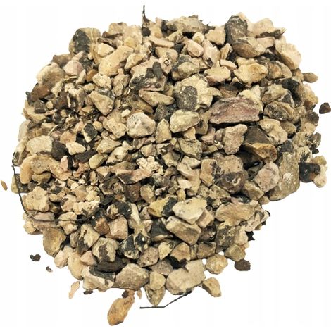 Bistorte racine coupée 1 kg 100 % naturelle