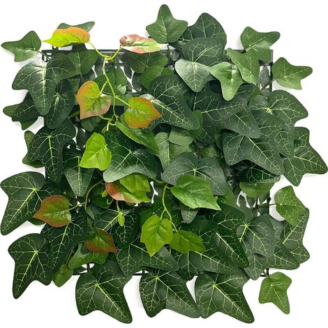 Pflanzenwand Ivy 33 x 33 cm (1/5)