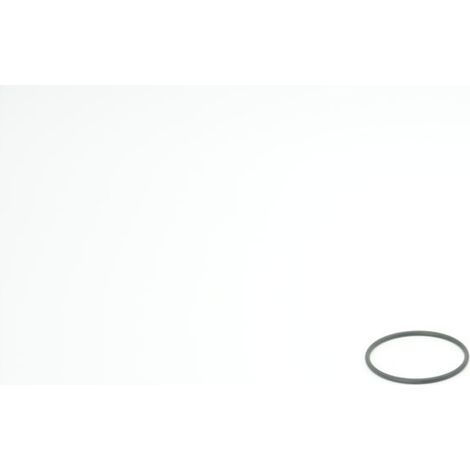 BWT O-Ring für Infinity M 2 1/2" und 2", 66x3,8mm, 1-181466