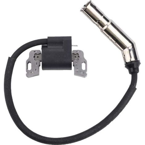 Bobina de encendido Magneto Armadura Repuesto para Motor Briggs & Stratton 592841 799650 595304 795315 21A807 21A877 21A902 21A907 21A907 21A907 (1/5)