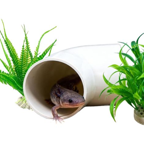 Axolotl Accessoires pour réservoir avec fausses décoratives 3 pièces Axolotl Tank Cave Terrarium Décor Pour tortue Betta Gecko Poisson-chat Crabe Crevettes naines Élevage endormi (1/5)