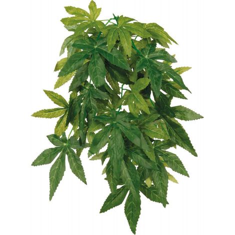 Plante tissu à suspendre, 50 cm Abutilon pour aquarium - animallparadise