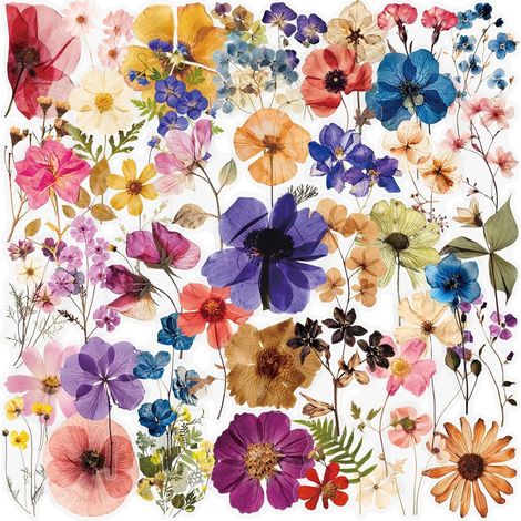 Lot de 50 autocollants stickers scrapbooking aesthetic ordinateur portable Téléphone pour adultes, filles, garçons, enfants, adolescents Coloured Flower (1/5)